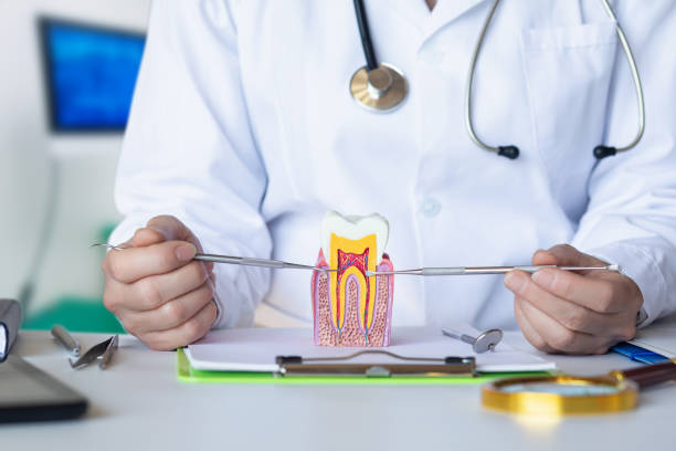Best Same-Day Emergency Dentist in Clearlake Riviera, CA
